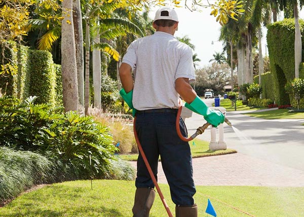 About Helena AL Pest Control Pros
